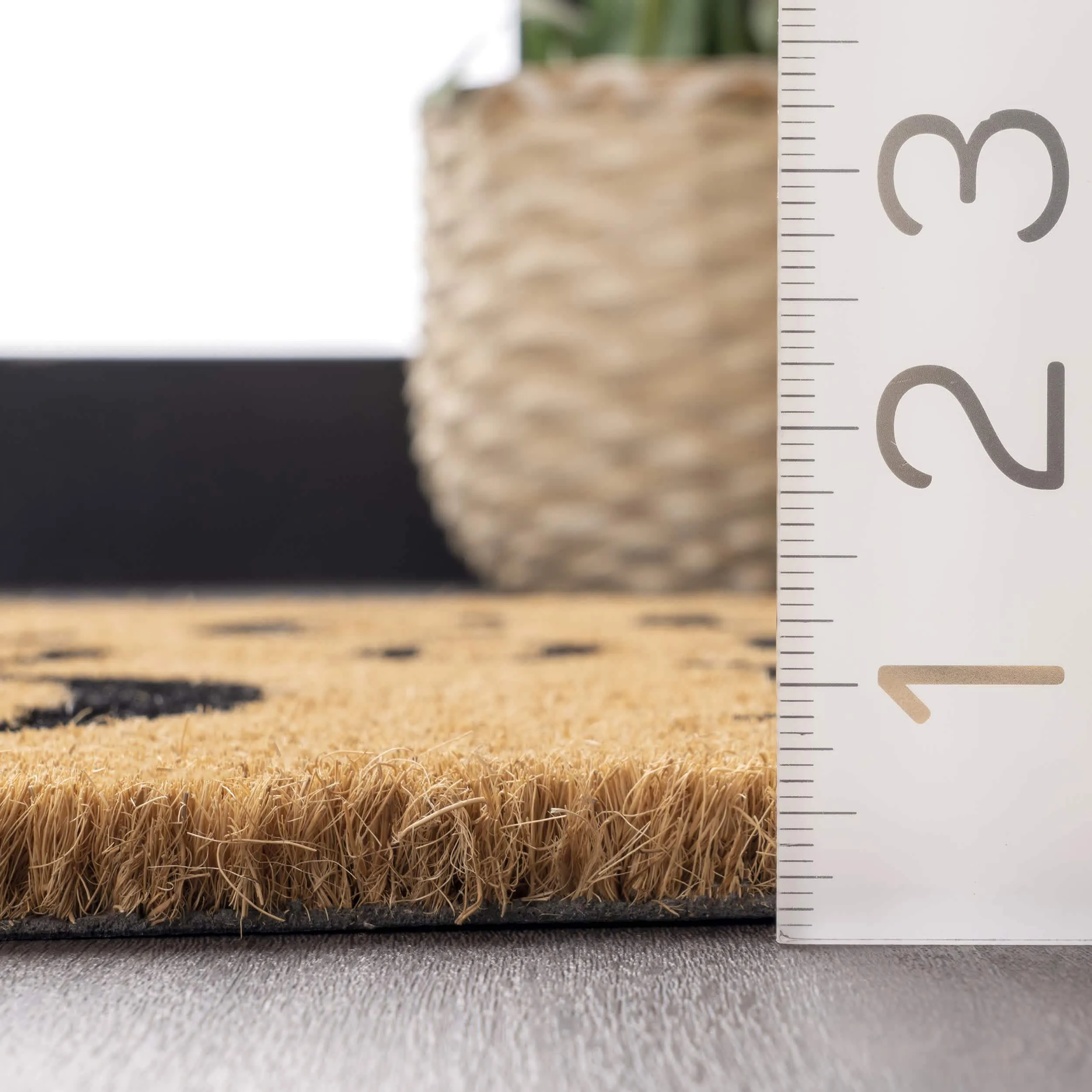 Welcome Home Coir Doormat